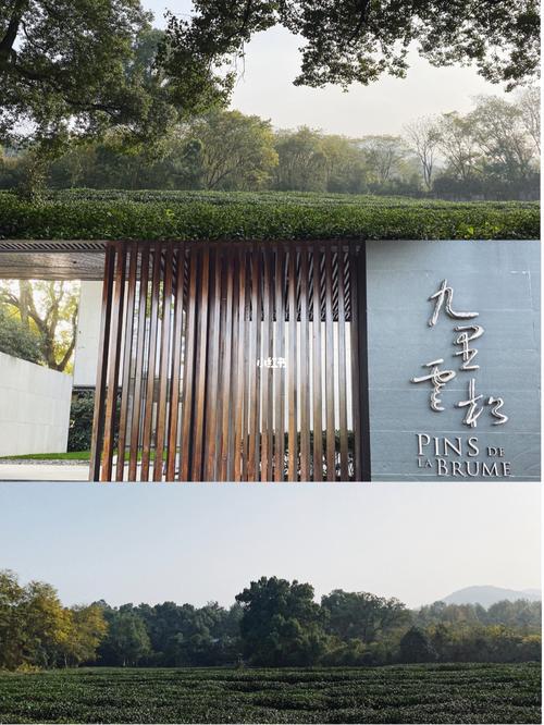 九里云松度假酒店灵隐店-东北门自由行热门攻略_杭州植物园_灵隐寺_le