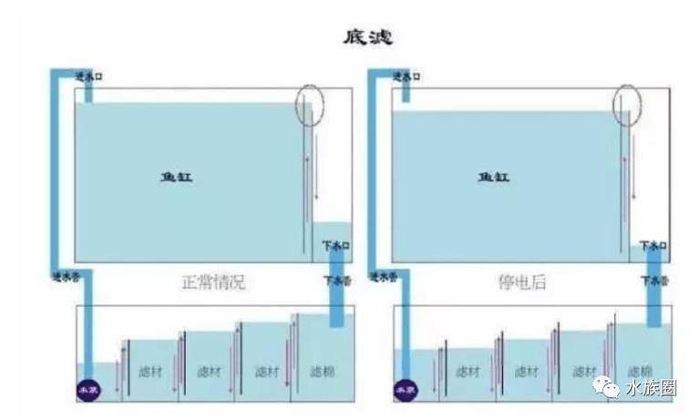 鱼缸底滤系统原理最烧脑的过滤体系