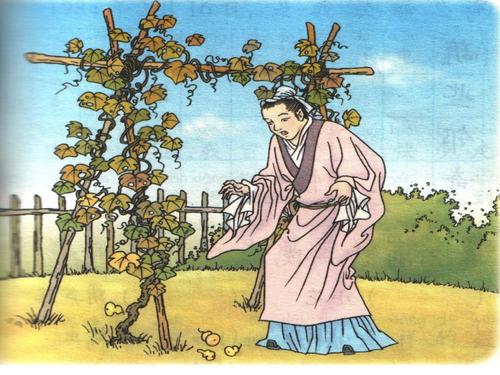 我要的是葫芦课件(新课标人教版二年级上学期语文课件
