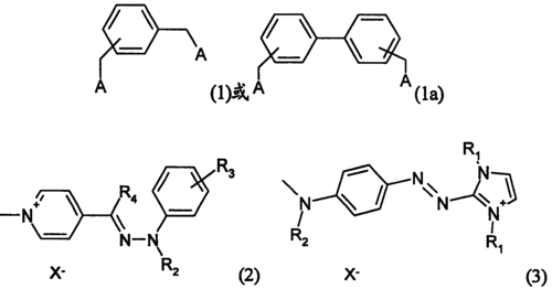简笔画 cn100347159c阳离子二聚体染料失效