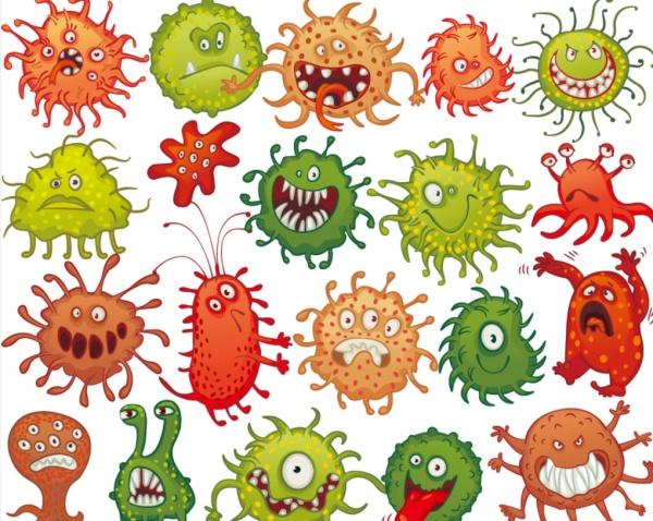 特别是在暴雨和洪水灾害过后的几天,真菌大量滋生.