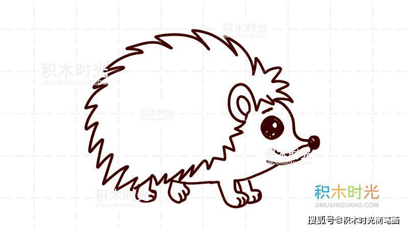 物简笔画图片大全,画刺猬简笔画