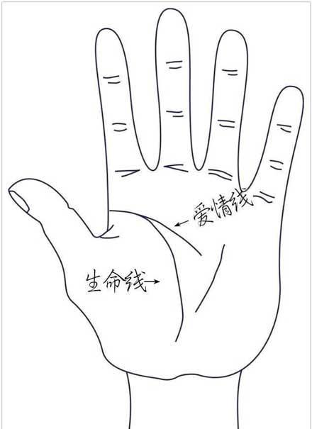 洋葱新闻:寒门再难出贵子!