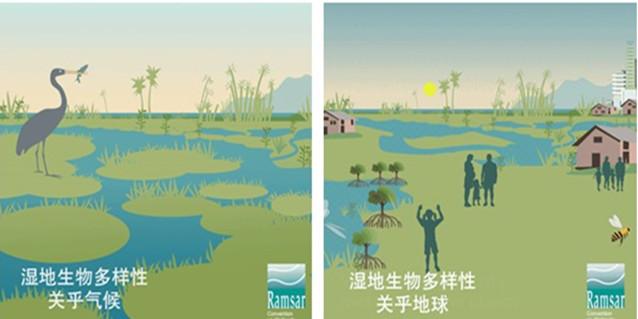 第24个"世界湿地日"—"湿地与生物多样性:湿地滋润生命"