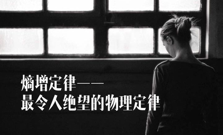 这条令宇宙都绝望的定律,被任正非带去了华为