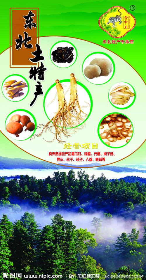 东北土特产设计图__展板模板_广告设计_设计图库_昵图