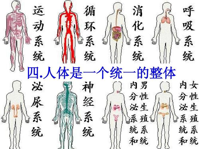 当前第9页) 你可能喜欢 细胞的生活需要物质和能量 植物体的结构层次