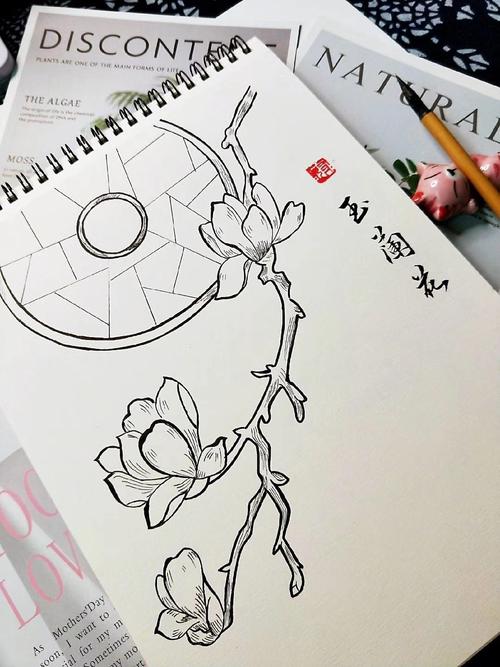 小清新玉兰花黑白手绘古风简笔画手稿