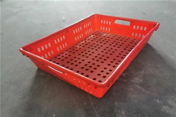 连州市装鸡苗的塑料筐多少钱新闻推荐