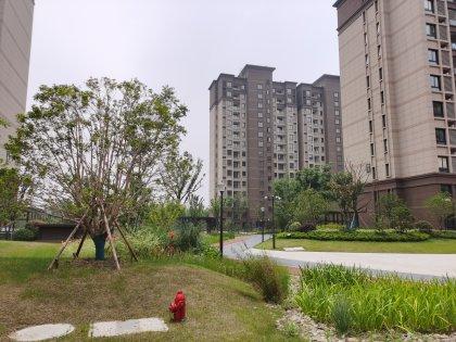 昆山房产网>昆山小区>玉山小区>城西小区>江南平安里>江南平安里怎么