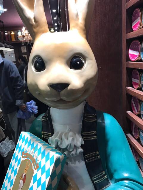 乖张喵