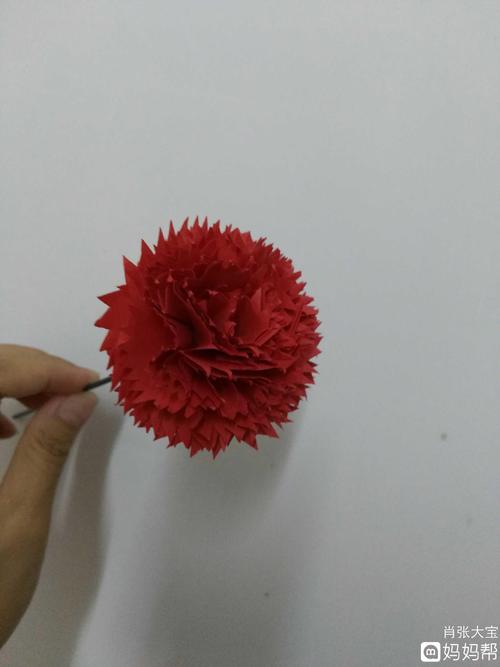 【母亲节手作】纸花——康乃馨