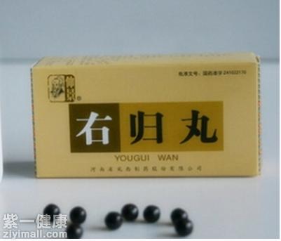 左归饮的功效与作用左归饮加味的功效与作用