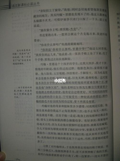 《简爱》第一回批注_阅读_文化_阅读