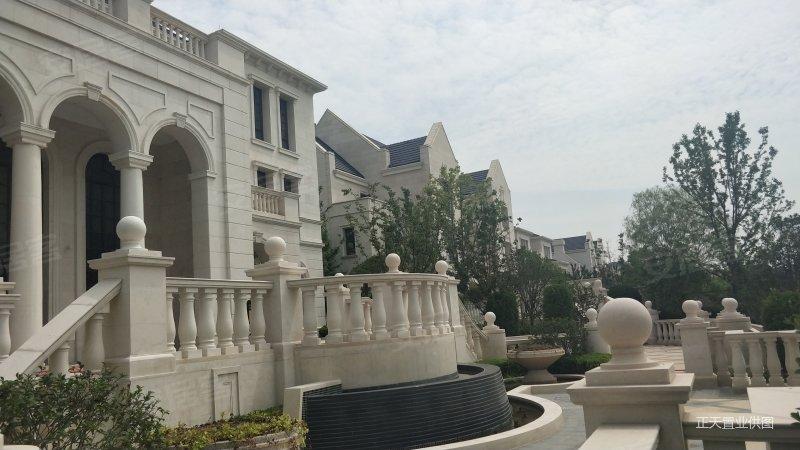 中原八大家 临湖独栋别墅 1200平院子带私家码头送游艇豪车