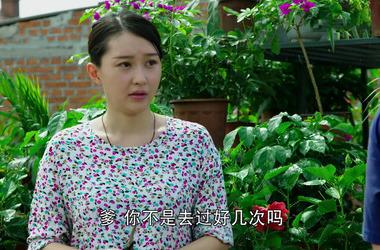 乡村爱情进行曲剧照