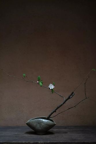 一朵花,拥有六度精神