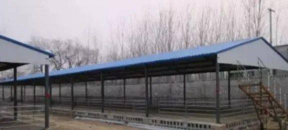 这样搭建彩钢羊圈 真不错!附参考图_手机搜狐网