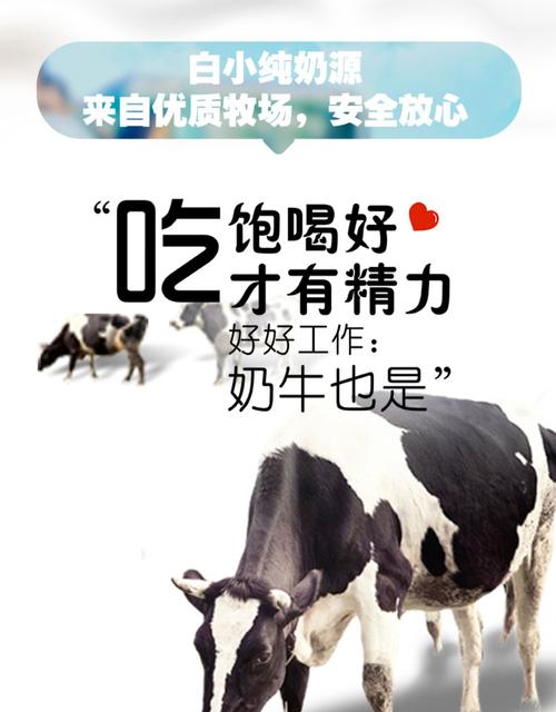 junlebao君乐宝白小纯牛奶180ml24袋