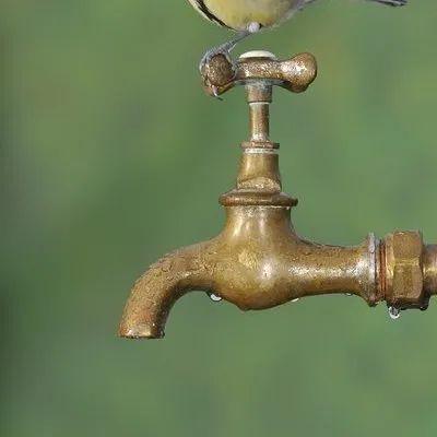 水龙头材质介绍 一起来看看哦