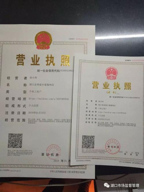 湖口首张独立域名营业执照诞生,网店店主又一省钱法宝