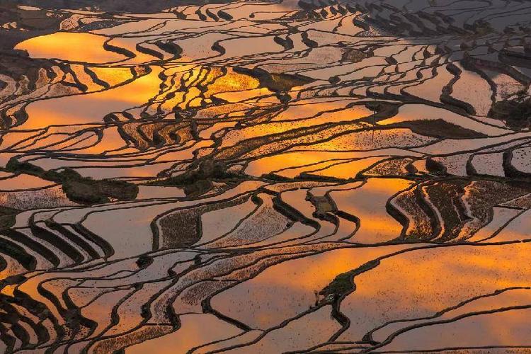 中午时分被阳光眷顾的梯田,一切都是清晰靓丽的,抬头是纯净碧蓝的天空