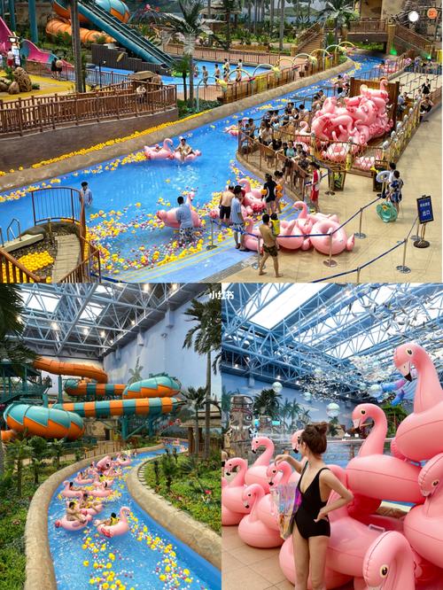 济南融创水世界游玩攻略90夏天的快乐星球_游玩攻略