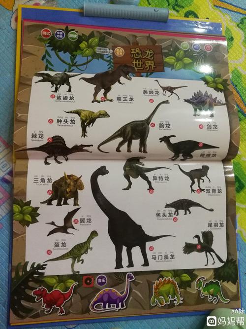 3.27大恐龙都有名字