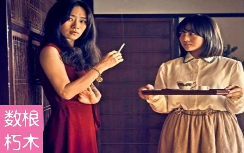 数根朽木血观音25分钟深度解析政治赌局上的权色财交易