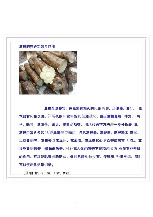 葛根的神奇功效与作用.pptx 13页