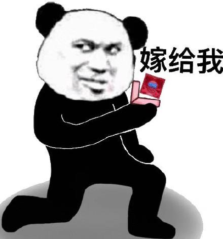 熊猫头单膝求婚嫁给我_膝求_头单_婚嫁_熊猫表情