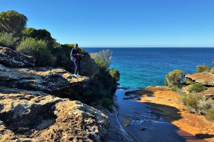 悉尼皇家国家公园巡礼