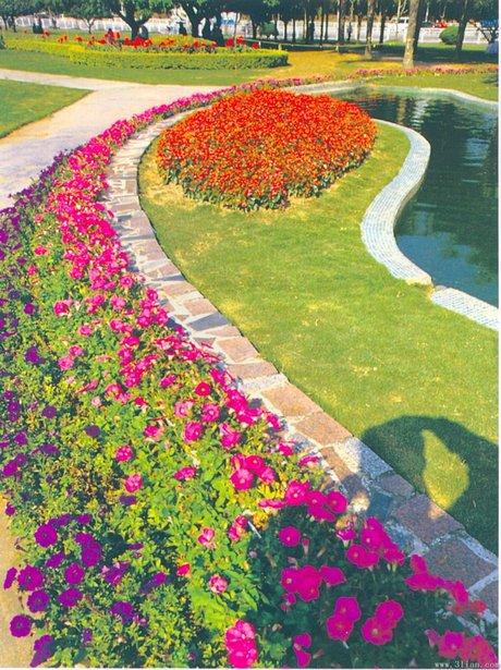 花坛图片