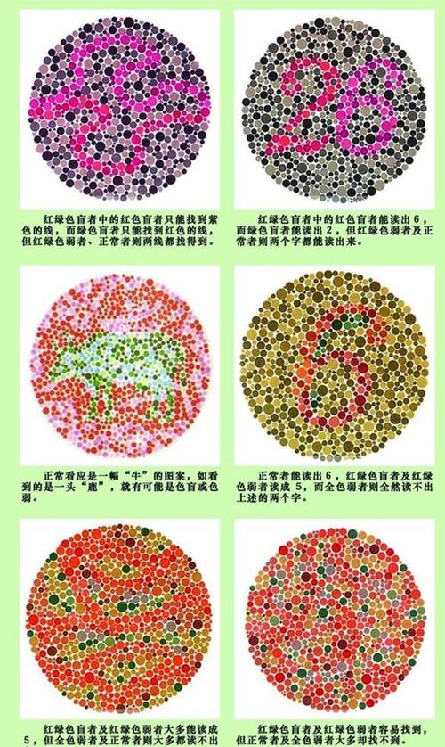 成都学车报名先来测试你是不是红绿色盲能报考吗?