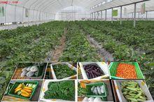 农民专业合作社是以农村家庭承包经营为基础,通过提供农产品的销售