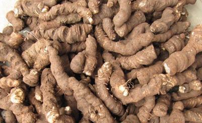 估计是根的药用中医 中药大全 泻下药 甘遂  等遂水药和益气行气药