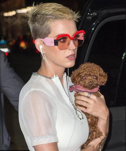 女生毛寸发型图片大全(2)