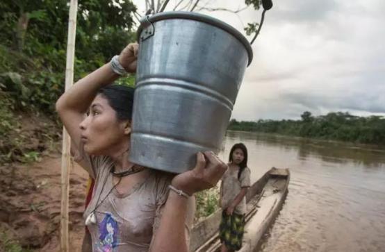 亚马逊热带雨林到底多可怕?这里被称为绿色天堂,实则人类禁区