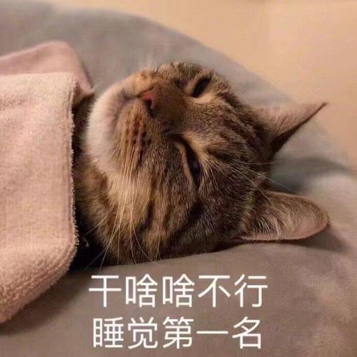干啥啥不行 睡觉第一名(喵星人表情包)