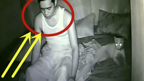 这就是传说中的猫"诈尸"?睡梦中男子突然坐起,下一秒细思极恐