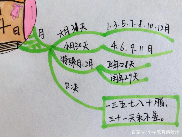 数学单元小结,思维导图整理,《年,月,日》