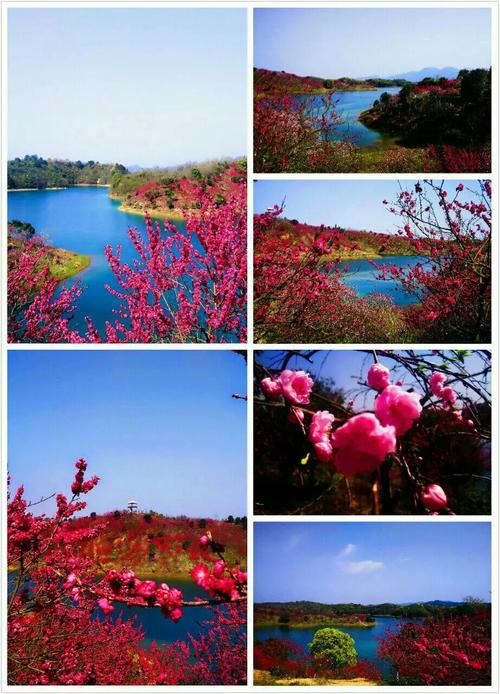 武宁花源谷