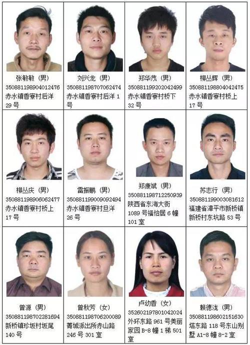 【漳平反诈进行时】"大咖"黄鹏被捕,下一个会是谁?
