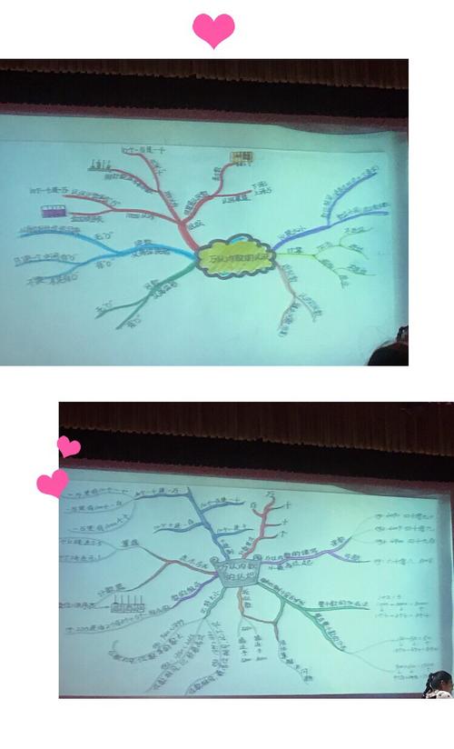 秋风送爽九月到 菊花飘香开学忙