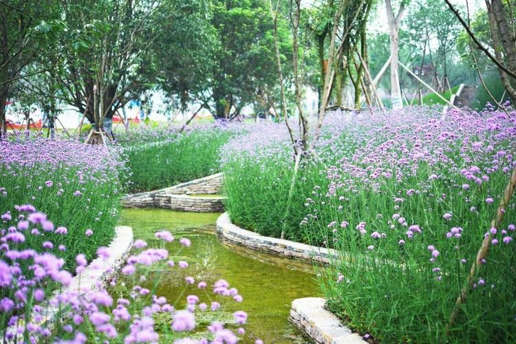 合川花滩公园