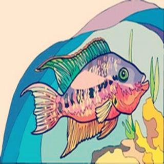 博雅小学堂【自然童年心理童话】魔法鱼