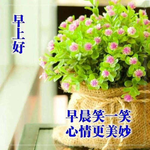 暖心早安问候语 愿你的好心情总在每天天亮后!