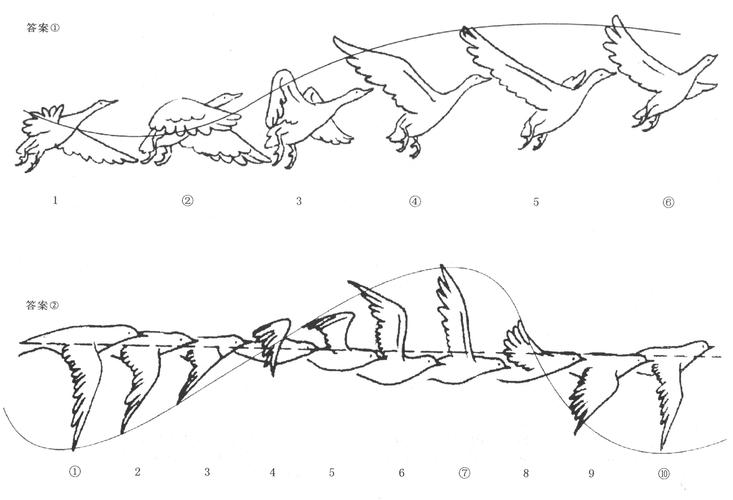 内容包含有【图文】动画运动规律-曲线运动规律_百度文库,j50 动画