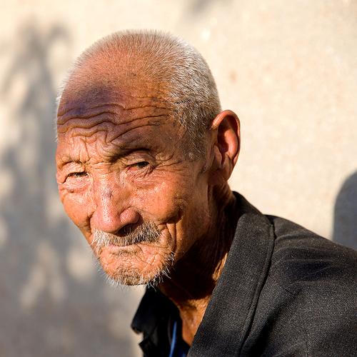 老人人像2(山东莱芜苗山南文字. (共 3 p)