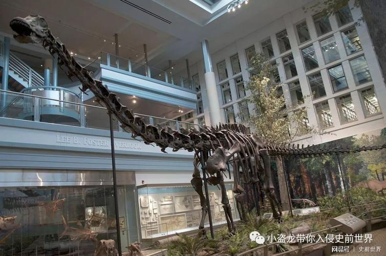 灵武龙:古生物学家在中国发现了梁龙的祖先